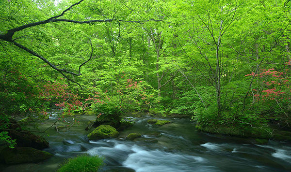 十和田八幡平国立公園のイメージ1